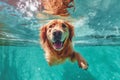 snorkeling dog puppy vacation water underwater swimming funny pool fun. Generative AI.