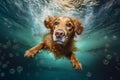 dog snorkeling fun puppy funny swimming underwater vacation water pool. Generative AI. Royalty Free Stock Photo