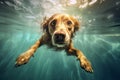 dog snorkeling puppy water fun underwater pool funny vacation swimming. Generative AI. Royalty Free Stock Photo