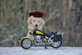 Dog soft toy stands behind a motorcycle Royalty Free Stock Photo