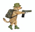 Dog soldier holds a gun