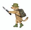 Dog soldier holds a jackknife