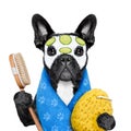 Dog spa wellness Royalty Free Stock Photo