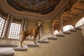 Dog on stairs of hacienda jaral de berrio