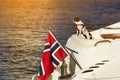 A dog standing on the back of a yacht looking away Royalty Free Stock Photo