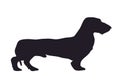 Dog stands dachshund, silhouette, vector