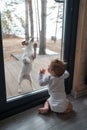 The dog stands at the patio window and knocks his paw on the glass towards the standing baby boy from the side. Vertical