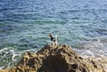 The dog stands on a rock and looks at the sea