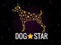 Dog star Royalty Free Stock Photo