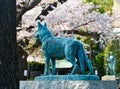 Dog statue with cherry blossom background