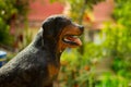 Dog statue on a soft background Royalty Free Stock Photo