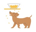 Dog Stealing Food Royalty Free Stock Photo