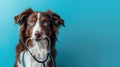 The dog with stethoscope.AI generated image Royalty Free Stock Photo