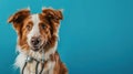 The dog with stethoscope.AI generated image Royalty Free Stock Photo