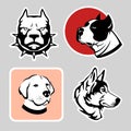 Pit bull, labrador, american staffordshire terrier, husky. Cute dogs as stickers for web design.