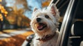 Dog sticking its head out of car window. Generative AI. Royalty Free Stock Photo