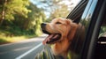 A dog sticking its head out of a car window. Generative AI image. Royalty Free Stock Photo