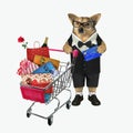 Dog in suit pushes shopping cart 2 Royalty Free Stock Photo