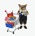 Dog in suit pushes shopping cart Royalty Free Stock Photo