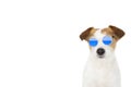 DOG SUMMER. FASHION JACK RUSSELL DOG WEARING BLUE MIRROR GLASSES ISOLATED ON WHITE BACKGROUND READY FOR BEACH. BANNER SPACE FOR Royalty Free Stock Photo