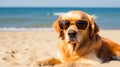 dog in sunglasses on the beach resting vacation resort . Travel promotion banner template Generative AI Royalty Free Stock Photo