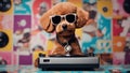 dog in sunglasses A grooving puppy wearing a tiny afro wig and sunglasses, standing on a retro vinyl record player, Royalty Free Stock Photo