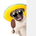 Dog in sunglasses and hat holding ice cream and peeking from behind empty board. isolated on white background Royalty Free Stock Photo