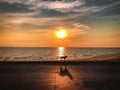 Dog with sunset background at Pattaya beach Thailand