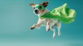 Dog with super hero costume.The concept of a superhero, brave dog, leader