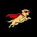 Dog Superhero Illustration Creative Design Template Logo Royalty Free Stock Photo