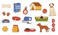 Dog supplies. Doodle pet shop assortment. Food and toys for puppies. Playing ball or bone. Collar with leash. Doggy