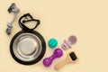 dog supplies, toys, bowl, wool brush on a beige background with copy space, top view, pets Royalty Free Stock Photo