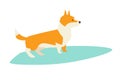 Dog surfers, vector cartoon illustration