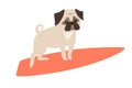 Dog surfers, vector cartoon illustrations Royalty Free Stock Photo