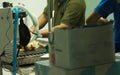 Dog Surgery. Male veterinarians perform surgery Royalty Free Stock Photo