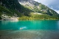 Dog swimming in clear and cold mountain lake. Vivid turquoise water in Aviolo lake, Adamello park, Italy
