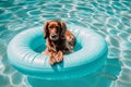 Dog swimming pool. Generate Ai Royalty Free Stock Photo