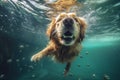 dog swimming vacation water snorkeling fun pool puppy underwater funny. Generative AI.
