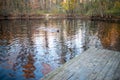 A dog swims across a woodland lake retrieving a stick. Royalty Free Stock Photo