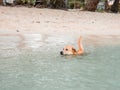 The dog swims on the surface of the crystal clear water in the sea. Royalty Free Stock Photo