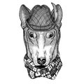 DOG for t-shirt design Wild animal wearing tirol hat Oktoberfest autumn festival Beer fest illustration Bavarian beer