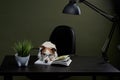 dog at the table with a book. funny boss jack russell terrier with glasses Royalty Free Stock Photo