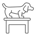 Dog on table thin line icon, animal hospital concept, Dachshund standing on table at veterinary office sign on white