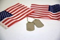 Dog Tags and American Flags on white background