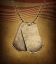 Dog Tags Grunge Royalty Free Stock Photo