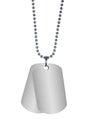 Dog tags on white Royalty Free Stock Photo