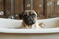 dog taking a bath, AI generated Royalty Free Stock Photo