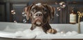 dog taking a bath, AI generated Royalty Free Stock Photo