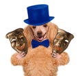 Dog with theatrical masks Royalty Free Stock Photo