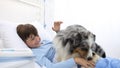 Dog therapy, llonely and sick child lying in hospital bed is cheered by the happiness of the dog
